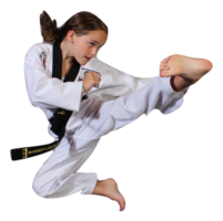 sport & taekwondo free transparent png image.