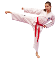 sport & taekwondo free transparent png image.