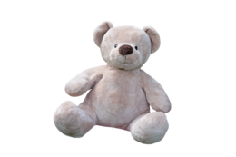 heroes & Teddy bear free transparent png image.