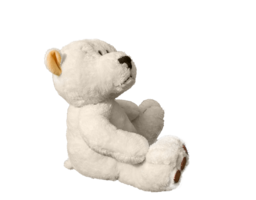 heroes & Teddy bear free transparent png image.