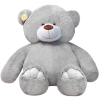 heroes & Teddy bear free transparent png image.