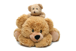 heroes & teddy bear free transparent png image.