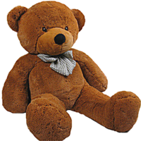 heroes & Teddy bear free transparent png image.