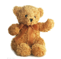 heroes & Teddy bear free transparent png image.