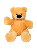 heroes & teddy bear free transparent png image.