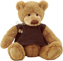 heroes & teddy bear free transparent png image.