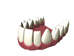 people & teeth free transparent png image.