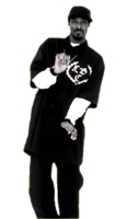 words phrases & Thug life free transparent png image.