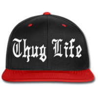 words phrases & Thug life free transparent png image.