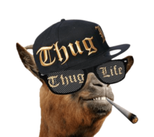 words phrases & thug life free transparent png image.