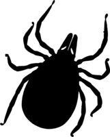 insects & tick free transparent png image.