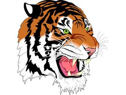 animals & Tiger free transparent png image.