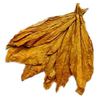 nature & tobacco free transparent png image.