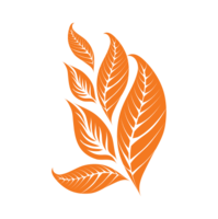 nature & tobacco free transparent png image.