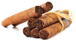 nature & tobacco free transparent png image.