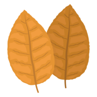 nature & Tobacco free transparent png image.