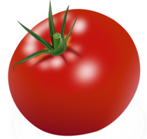 vegetables & Tomato free transparent png image.