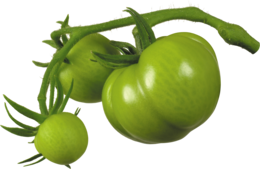 vegetables & tomato free transparent png image.