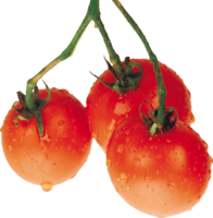 vegetables & Tomato free transparent png image.