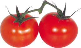 vegetables & tomato free transparent png image.