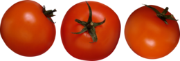 vegetables & tomato free transparent png image.