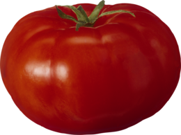 vegetables & Tomato free transparent png image.