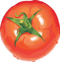 vegetables & tomato free transparent png image.