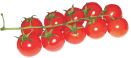 vegetables & tomato free transparent png image.