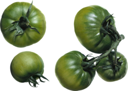 vegetables & tomato free transparent png image.