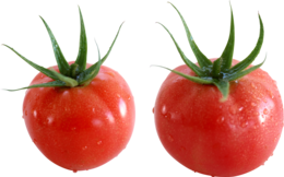 vegetables & tomato free transparent png image.