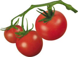 vegetables & tomato free transparent png image.