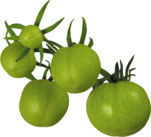 vegetables & Tomato free transparent png image.