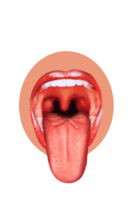 people & tongue free transparent png image.