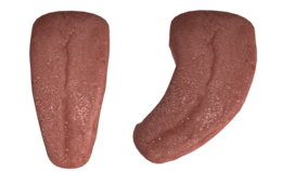 people & Tongue free transparent png image.