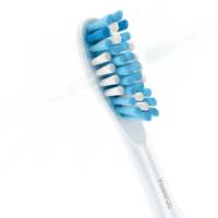 objects & toothbrush free transparent png image.