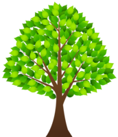 nature & Tree free transparent png image.