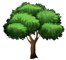 nature & Tree free transparent png image.