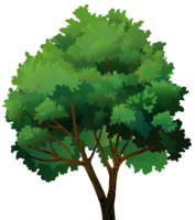 nature & Tree free transparent png image.