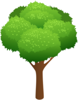 nature & Tree free transparent png image.