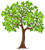 nature & Tree free transparent png image.