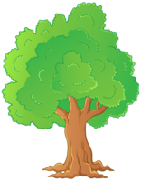 nature & tree free transparent png image.