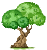 nature & Tree free transparent png image.