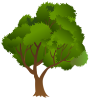 nature & Tree free transparent png image.