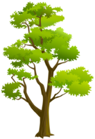 nature & Tree free transparent png image.