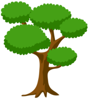 nature & Tree free transparent png image.