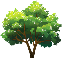 nature & Tree free transparent png image.