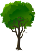 nature & Tree free transparent png image.