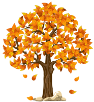 nature & Tree free transparent png image.