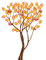 nature & Tree free transparent png image.