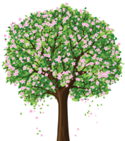 nature & Tree free transparent png image.